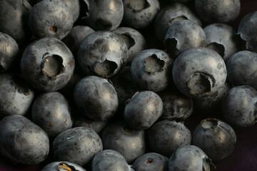 Blaubeeren