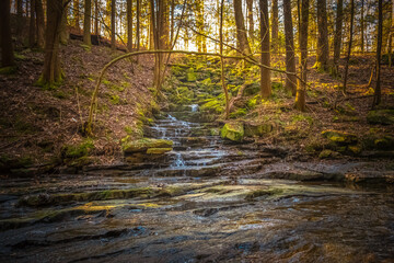 A small stream trickles down to the creek along the Fiery Gizzard Trail on the South Cumberland...