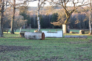 Alter Reitplatz am Waldrand. Reitfeld. Reitsport.