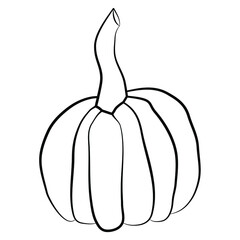 Pumpkin icon vector illustration. Autumn Halloween or Thanksgiving pumpkin symbol in flat design, simple, outline silhouette isolated on white background