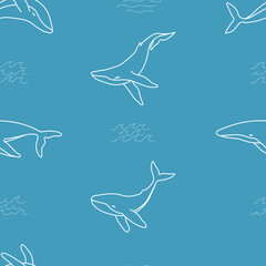 Fototapeta premium Seamless pattern with humpback whales and waves minimalist simple outline vector background illustration. Contour whale drawing on blue background