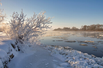 winter landscape. morning frost and sun. ice drift on the river. the branches of plants are covered with white frost