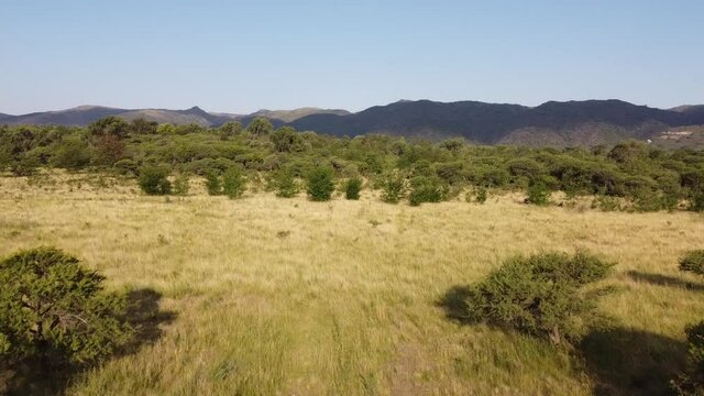 Landscape filmed by a drone from the air of the Sierras de Córdoba, Argentina. Native nature. Trees, pastures, mountains. Summer. Latin America.