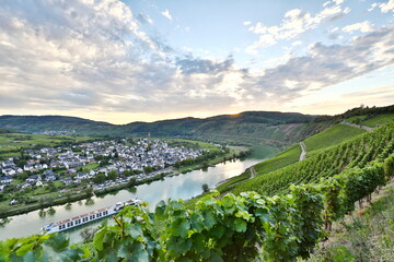 summer landscape of Moselle valley - obrazy, fototapety, plakaty