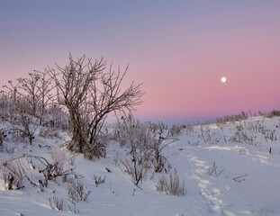 winter landscape. morning frost and sun on a snowy field by the river