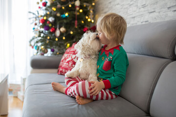 Cute toddler child. boy, hugging white maltese dog at home on Christmas