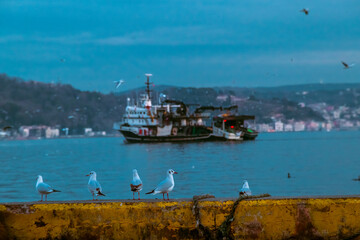 Fototapeta na wymiar fisherman fishing boats on Bosporus Istanbul on a Foggy sunrise. Rainy clouds and dark weather. seagulls flying over the sea