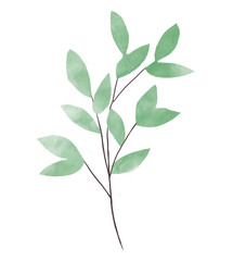 A set of watercolor flower illustrations is a collection of green leaves Eucalyptus watercolor leaves. Greeting card template