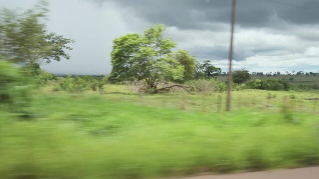 View from the side window of a car driving on the road passing by landscapes of green vegetation and rural areas of cattle breeding on a cloudy day. Landscape of Mato Grosso do Sul state, Brazil.