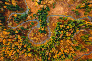 Aerial landscape yellow autumn forest with winding river with sun light, top view