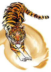 Postcard Tiger, Flower and Gold. Tigris watercolor ready holiday postcard. Wildlife Exotic - 479779588