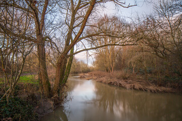 Obraz premium Along river Roding walk. River Roding is a tribute of River Thames. It flows from Molehill in Essex to River Thames at Barking. The walk route follows the River Roding from Roding valley to Ilford.