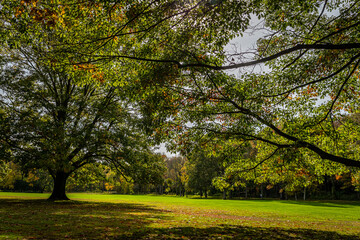 Fototapeta premium Archery Field Letchworth State Park New York