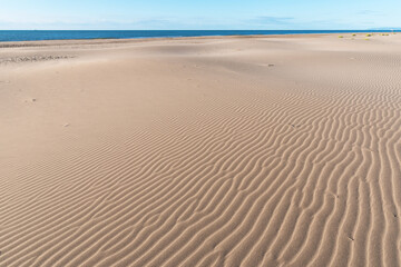 Fototapeta na wymiar Sand beach Eucaliptos-Delta del Ebro