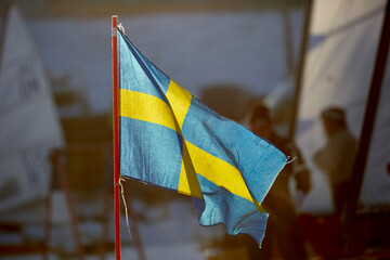 waving swedish flag on ice sailing - obrazy, fototapety, plakaty