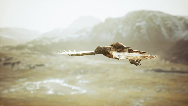 extreme slow motion shot of eagle