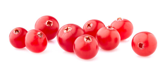 Cranberry isolated on white background. Ripe berries isolated.