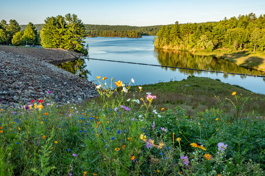 Tully Lake in Royalston, Massachusetts