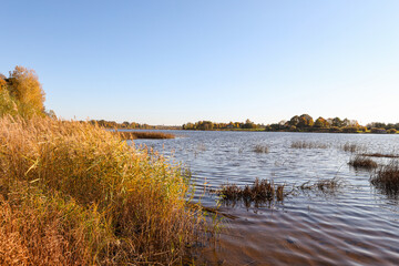 Lovely autumn view with seagrass and river Daugava.