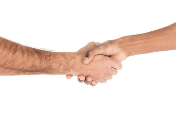 cropped view of interracial men shaking hands isolated on white.