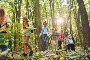 Naklejka na ściany i meble Walking together. Kids in green forest at summer daytime together