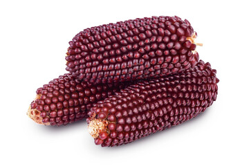 Purple corn or maize isolated on white background with clipping path and full depth of field
