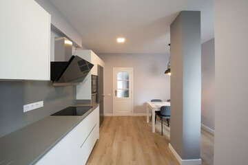 modern kitchen perfectly equipped with its appliances in a house