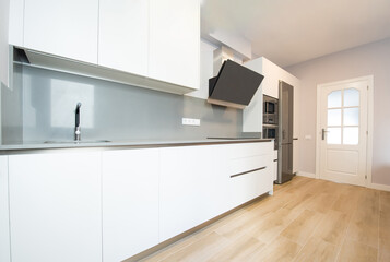 modern kitchen perfectly equipped with its appliances in a house