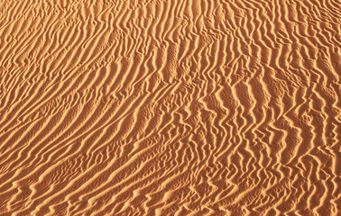 Dunes landscape, Maspalomas, Gran Canaria, Canary Islands, Spain.