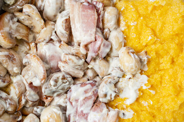 champignon mushrooms with sour cream and corn flour polenta.
Eastern europe rustic recipe. Close up background.