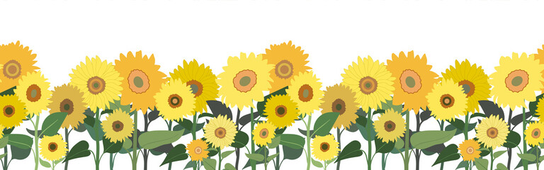 Spring or summer seamless horizontal border with sunflowers. Isolated on white background. Banner with floral pattern.