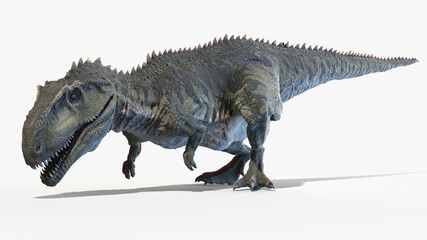 3d rendered illustration of a Giganotosaurus