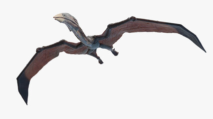 3d rendered illustration of a Hazegopteryx © Sebastian Kaulitzki