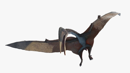 3d rendered illustration of a Hazegopteryx © Sebastian Kaulitzki