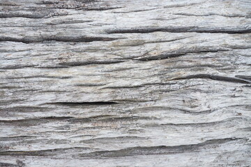 Old wooden panel with texture and deep grain for background and decoration