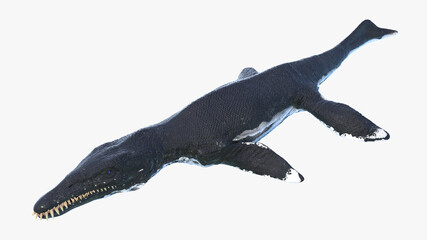 3d rendered illustration of a Liopleurodon