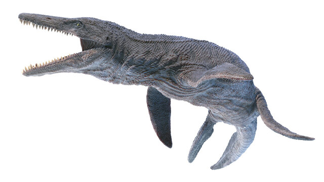 3d rendered illustration of a Kronosaurus