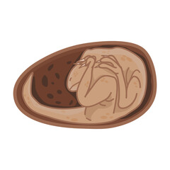 illustration of Dinosaurus Egg on Tucking position