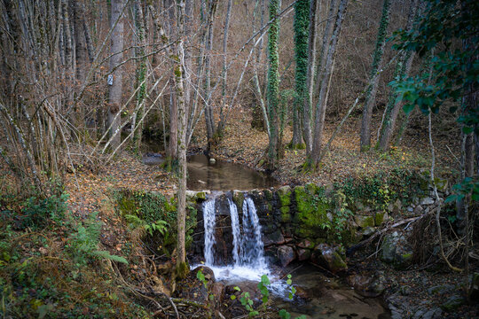 waterfall over stone wall surrounded by trees and floor covered yellow leafs in winter at viladrau, catalonia