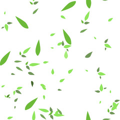 Seamless pattern with falling green leaves on a white background. Vegetable theme. The idea of a print for fabric, wallpaper, wrapper. Vector.