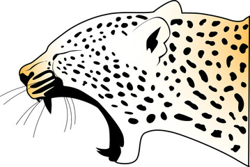 Angry aggressive leopard roaring head portrait vector illustrations