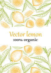 Vector illustration of the banner template. Graphic linear colored lemons and leaves