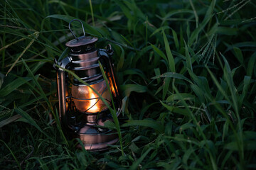 草むらの中のランラン