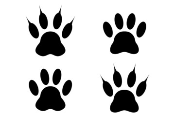 Fototapeta premium A set of paw prints isolated on white background. Good design element. 