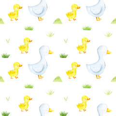 Duck goose seamless watercolor pattern.  Cute farm illustration isolated. Baby animal bird...