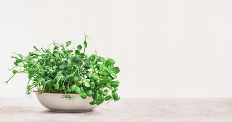 Micro greens superfood. Green peas and sunflower sprouts close up in a bowl. Germination sprouting and healthy eating and living. Gardening at home kitchen concept. Microgreens food. Copy space