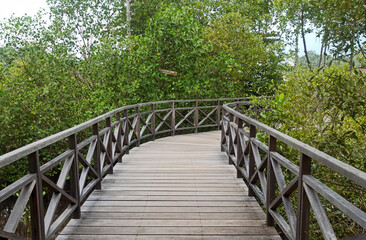 Obraz na płótnie Canvas wooden bridge in the forest
