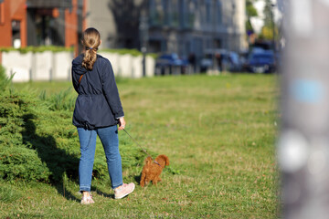 Kobieta spaceruje z psem po parku. - obrazy, fototapety, plakaty