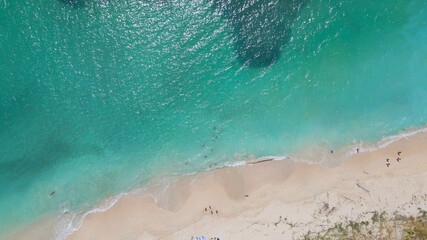 Aerial View of the Beach - 1