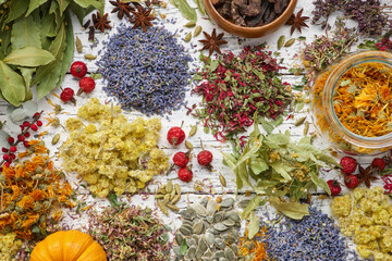 Medicinal herbs, plants, roots, berries, ingredients for making of herbal medicine drugs, tea or...
